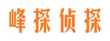 灵川侦探